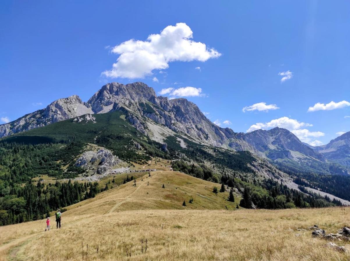 Apartmani Kosuta Tjentiste Exteriér fotografie